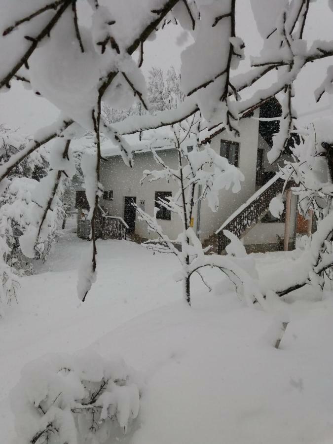 Apartment Manda Rakovica Exterior photo